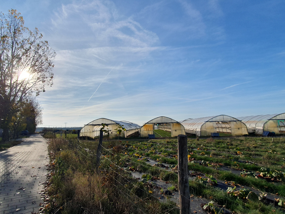 KoLa – Kollektive Landwirtschaft