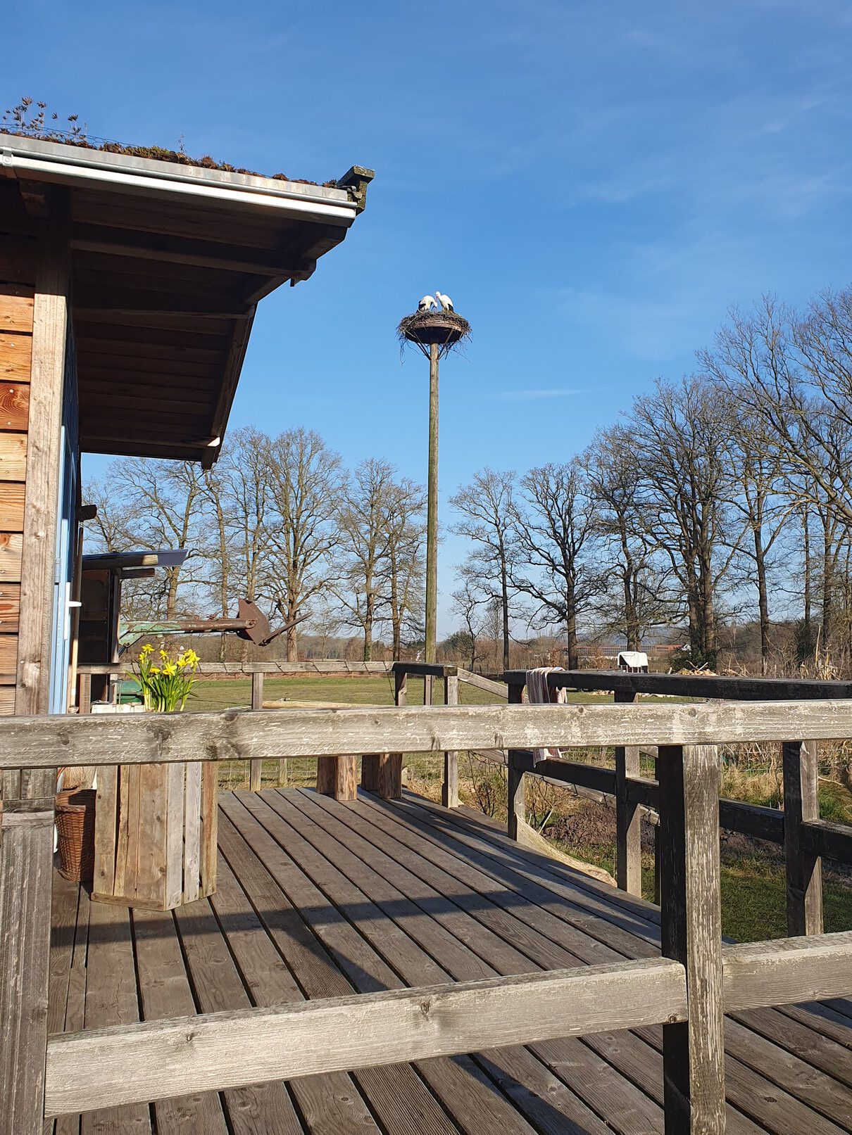 Tinyhaus in Stemwede