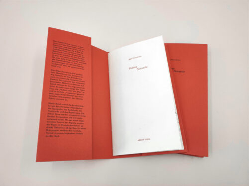 Künstlerinnenbuch Poema Naturale