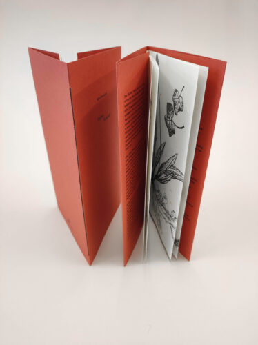 Buch im Buchdruck, Druckgrafik und Bucheinband