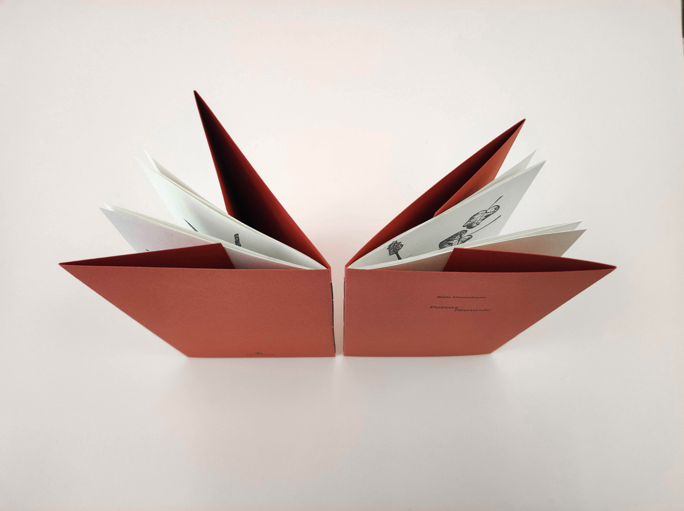 Buch im Buchdruck, Druckgrafik und Bucheinband